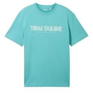 TOM TAILOR Basic T-shirt voor heren met logo-print, 35272 - Meadow Teal, XL