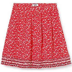 Tommy Jeans Dames Tjw borduurwerk Detail rok