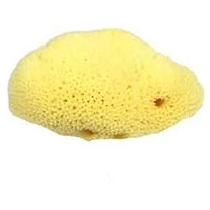 Croll & Denecke Natuurlijke spons, natuur