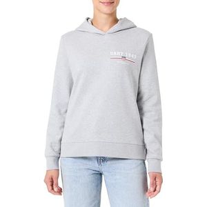 REG Graphic Hoodie, lichtgrijs gem., XS