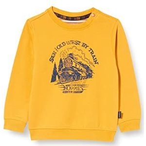 Noppies Baby Baby Jongens B Sweater Ls Rishiri Pullover, Sunflower - P076, 50 cm