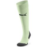 Puma - Teamliga - Voetbalkousen - Munt