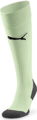 Puma - Teamliga - Voetbalkousen - Munt