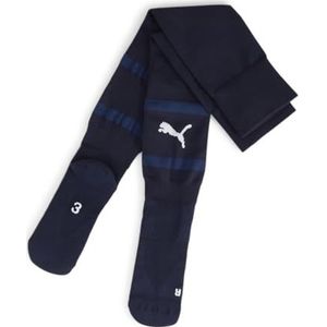 PUMA teamFINAL Sokken