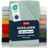 Blumtal - Hoeslaken Microvezel - Groen - 120 x 200 cm - Oeko-Tex-gecertificeerd - tot 25 cm Matrashoogte