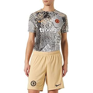 Nike Herenshorts, seizoen 2022/23, officiële derde tricot kit