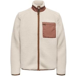 ONLY & SONS Onsdallas Life Sherpa Jacket OTW Vd, Silver Lining, x_l, Zilvervoering., XL