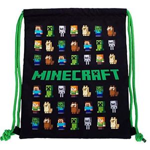 MINECRAFT Shoe Bag, 44X30, zwart/groen, games