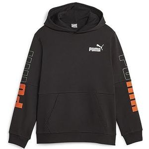 Sweatshirt merk PUMA model PUMA Power Colorblock Hoodie FL B