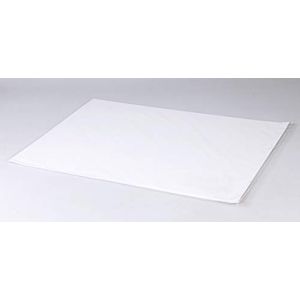 Clairefontaine Lavis Technisch papier A4 210 x 297 mm, 160 g, 40 stuks 200 g 42x59,4 cm