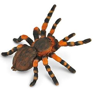 Collecta Insecten: Mexicaanse Roodknievogelspin 8 X 8,7 Cm