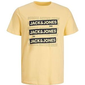 JACK & JONES PLUS JCOSPIRIT Logo Tee SS Crew Neck PLS T-shirt, Pale Banana, 4XL, geel (pale banana), 4XL