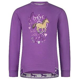 SALT AND PEPPER Meisjes Girls Sweat Horse Print Embseq Sweatshirt, grape, 104/110 cm