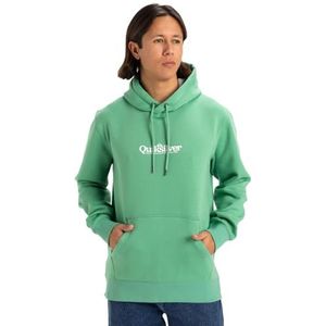 Quiksilver - FINELINE HOODIE - Hoodie - Green spruce - 60% Katoen, 40% Polyester