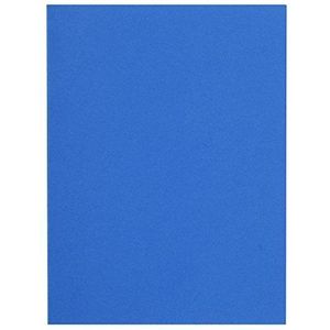 Exacompta - ref. 150010E - Set van 100 felkleurige inlegmappen FLASH 80 g/m2 - 100% gerecycleerd en Blauer Engel gecertificeerd - Afmetingen: 22 x 31 cm Formaat A4 - kleur donkerblauw