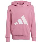 adidas Uniseks-Kind ESSENTIALS BIG LOGO HOODIE, pink fusion/clear pink/white, 13-14 Years
