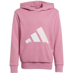 adidas Uniseks-Kind ESSENTIALS BIG LOGO HOODIE, pink fusion/clear pink/white, 13-14 Years