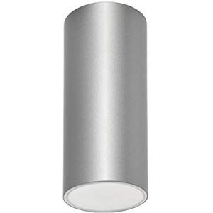 Daisalux Lens plafondlamp, 2n20, 230 V, 2 uur, zilvergrijs
