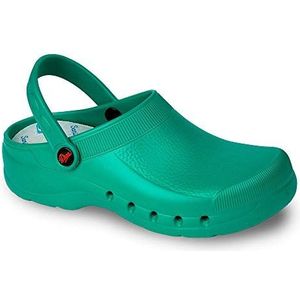 DIAN Werkschoenen voor gezondheid en horeca, uniseks, gecertificeerd CE EN ISO 20347, groen, maat 41, Groen, 41 EU