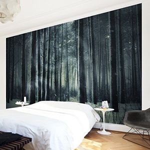 Apalis 94976 vlies/fotobehang mystiek winterbos breed | vliesbehang wandbehang wandschilderij foto 3D fotobehang voor slaapkamer woonkamer keuken | grootte: 255x384 cm