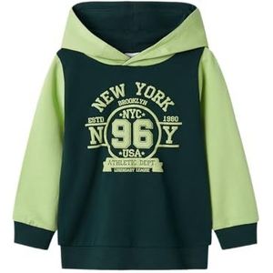 NAME IT Jongens Nmmveblock Ls Sweat Wh Unb Hoodie, Pine Grove, 92
