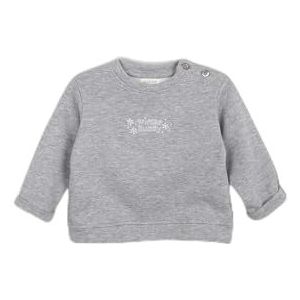 Gocco Sweatshirt met borduurwerk, lichtgrijs, gemêleerd, standaard voor baby's, Grijs licht mengsel, 6-9 Maanden