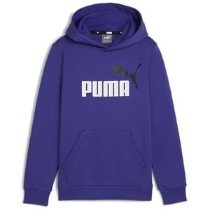 PUMA ESS+ 2 Col Big Logo Hoodie FL B, 92