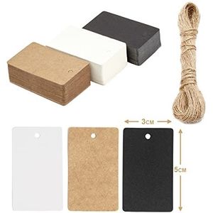 Box.it.pack.it Kraft Papier Gift Tags, Gemengde Kleur, Rechthoekig 5x3 cm, 100 Pack met String