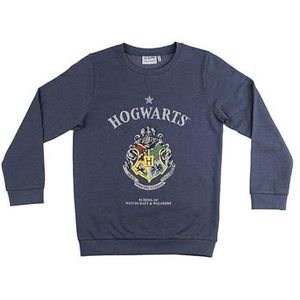 Sweatshirt, trainingspak en sweatshirt Harry Potter