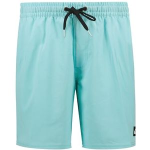 Quiksilver Boardshorts SPL SURFSILK PIPED VOLLEY 16 Heren Blauw S, Aqua Sky, S