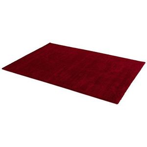 ASTRA geweven tapijt Pisa, polyester 80 x 150 x 1,3 cm rood