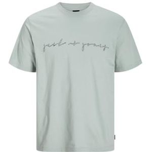 Jack & Jones Jprblacarter SS Tee, Aqua Gray, S