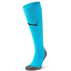 Puma Sokken Team Liga Socks Core