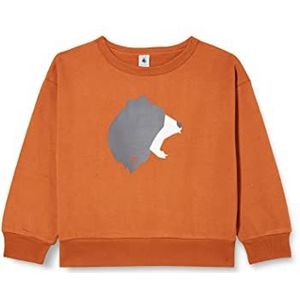 Petit Bateau Sweatshirt voor jongens, Bruin, 10 Jaar