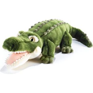 Pluche krokodil & Company 15781 – knuffeldier – Agostino – 60 cm