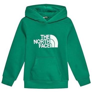 THE NORTH FACE Unisex kinderen Drew Peak P/O hoodie