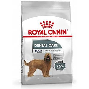 ROYAL CANIN Maxi Dental Care - 9 kg