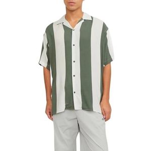 JCOJEFF AOP Resort Shirt SS Relax, Agave Green/Stripes: streep, M