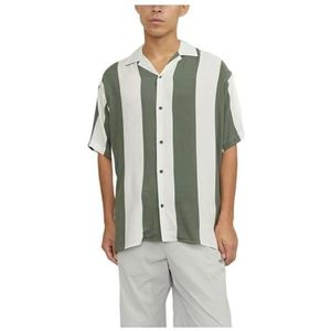 JCOJEFF AOP Resort Shirt SS Relax, Agave Green/Stripes: streep, XL