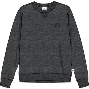 RUSSELL ATHLETIC Sweatshirt voor heren