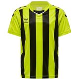Hummel - Functioneel Shirt - Limoen - V-hals - Kwartmouw - Gestreept