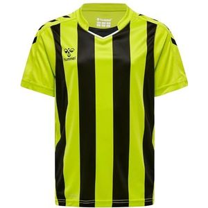 Hummel - Functioneel Shirt - Limoen - V-hals - Kwartmouw - Gestreept