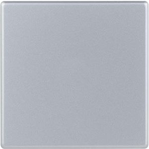REV 0236400706 Quadro, afdekking voor kruisschakelaar, knop, WLAN-schakelaar of A/W-schakelaar, zilver