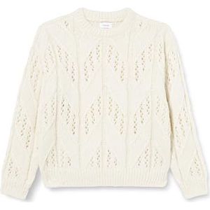 Bestseller A/S Dames Vmblueberry Ls Pullover Ga Girl Noos gebreide trui, Birch, 52/54 NL