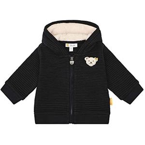 Steiff Baby-jongens Year of The Teddybear sweater vest, Steiff Navy, 62 cm