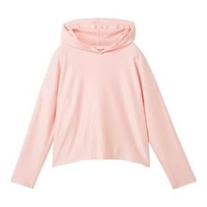 TOM TAILOR Denim Shirt met lange mouwen voor dames, 35266 - kleine roze witte strepen, M
