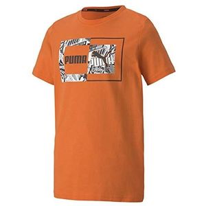 PUMA Alpha Graphic Tee B T-shirt voor jongens met korte mouwen