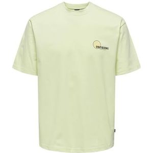 ONLY & SONS Onskole RLX Ss Tee T-shirt voor heren, Lime Cream, S