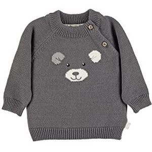 Sterntaler Baby jongen gebreide trui ijsbeer Elia shirt, ijzer-grijs, 74 cm