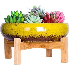 ARTKETTY Vetplant Pot - Grote Bonsai Pot met Stand Ondiepe Cactus Plant Pot met puinhoop Drainage Scherm, 25,4 CM Keramische Bloem Plant Container Bowl voor Binnen/Buiten (Geel)